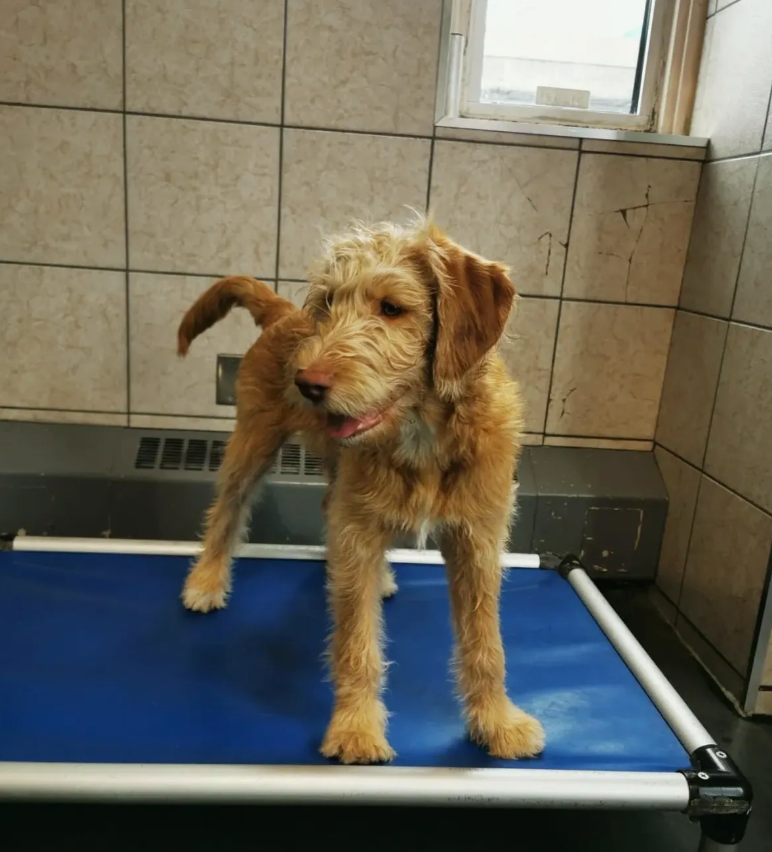 8 Reasons to Teach the Place Command.