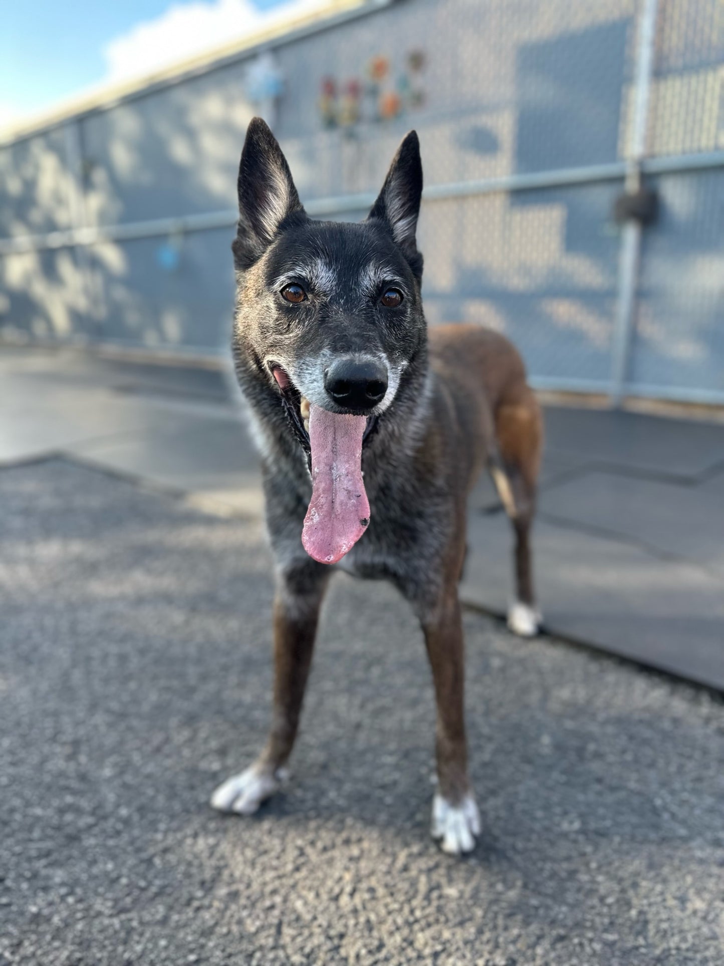 JOURNÉE COMPLÈTE DE JEU EN SOLO