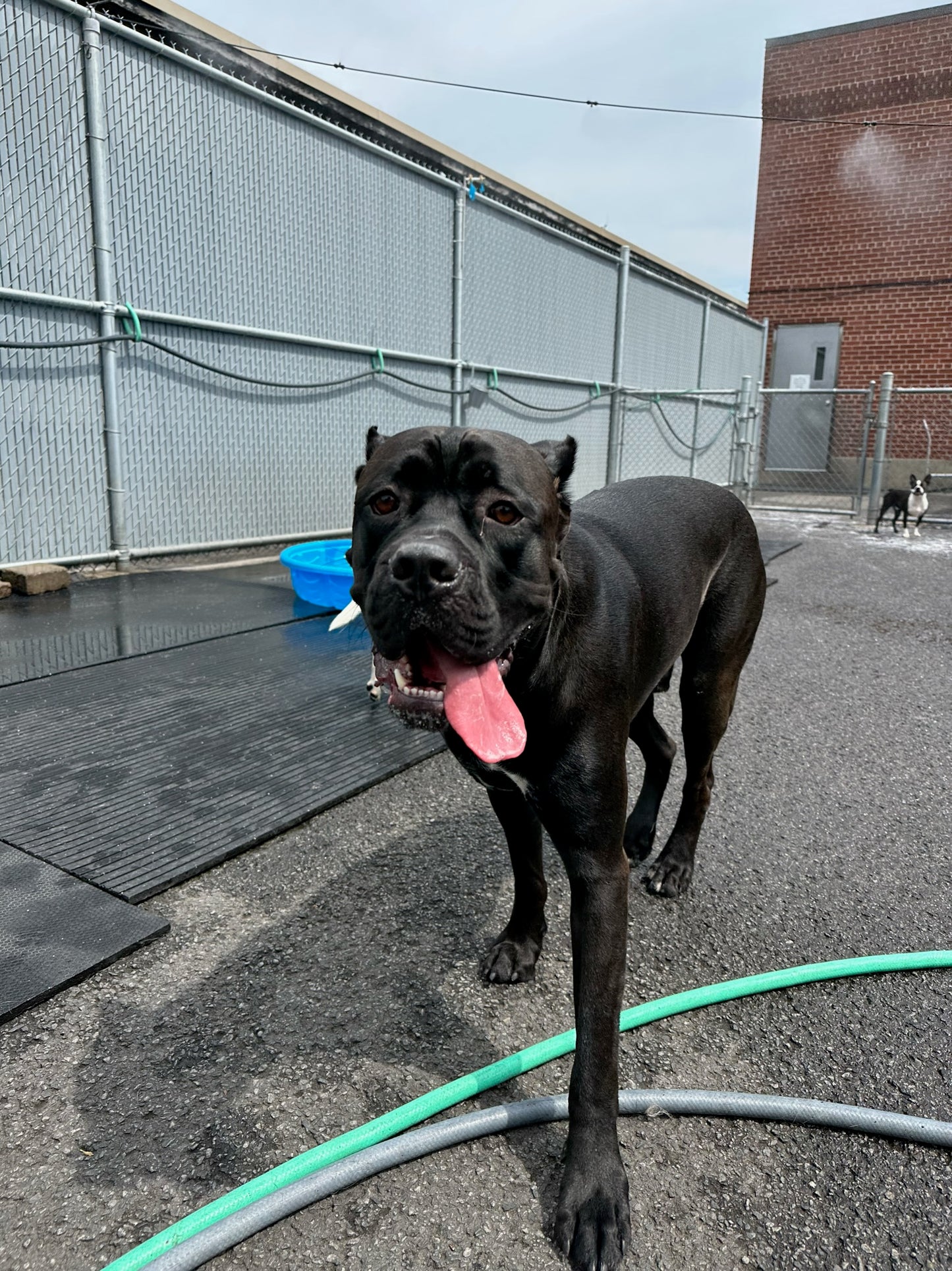 1/2 JOURNÉE DE JEU EN SOLO